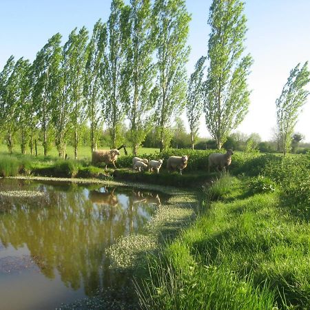 Bed and Breakfast La Ferme De Magnantru Perigne Екстер'єр фото