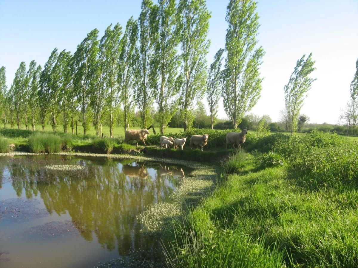 Bed and Breakfast La Ferme De Magnantru Perigne Екстер'єр фото